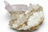 Amethyst Crystal Cluster - Las Vigas, Mexico #204532-1